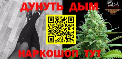 гашик Кулебаки
